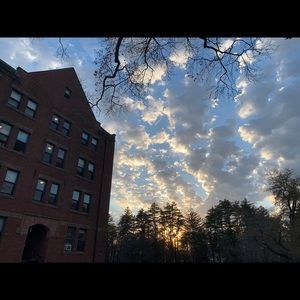 Meet your Posher, Mani